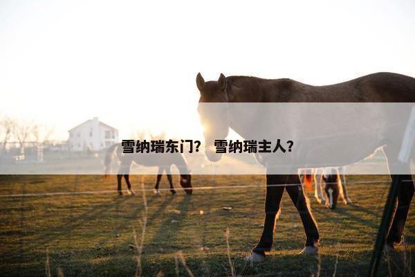 雪纳瑞东门？ 雪纳瑞主人？