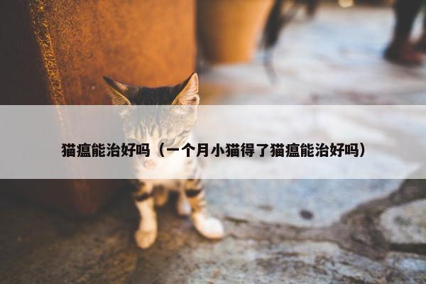 猫瘟能治好吗（一个月小猫得了猫瘟能治好吗）