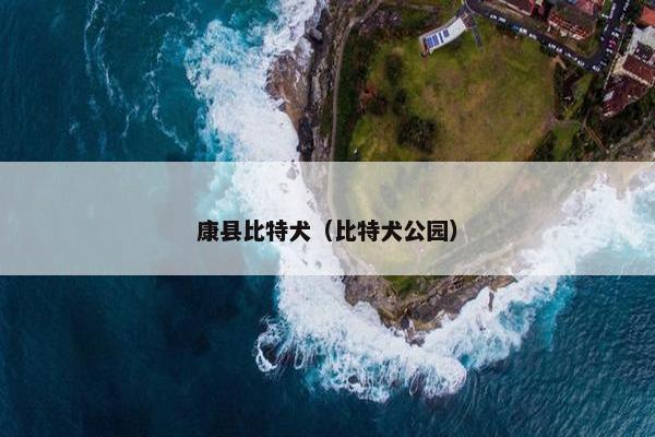 康县比特犬（比特犬公园）