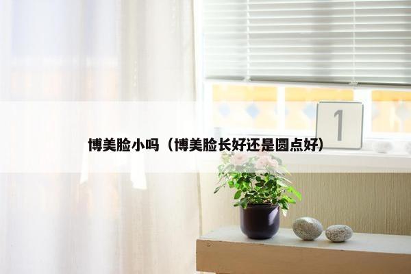 博美脸小吗（博美脸长好还是圆点好）