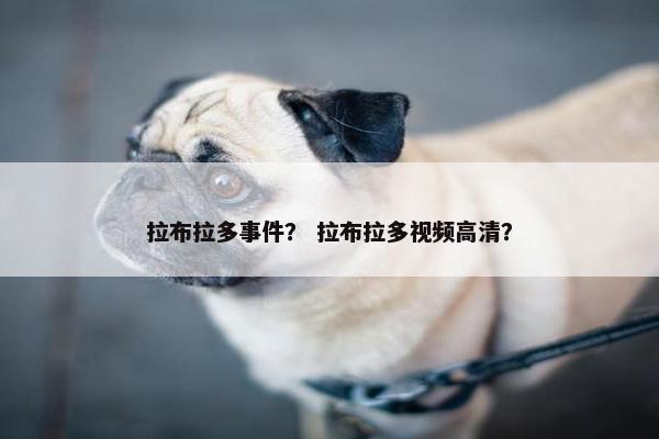 拉布拉多事件？ 拉布拉多视频高清？