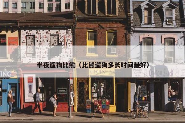 半夜遛狗比熊（比熊遛狗多长时间最好）