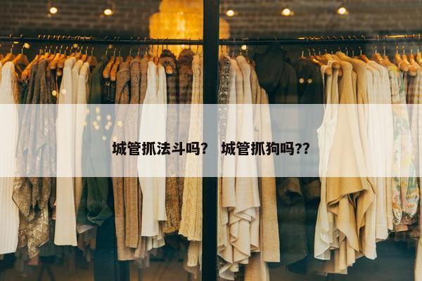 城管抓法斗吗？ 城管抓狗吗?？