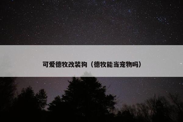 可爱德牧改装狗（德牧能当宠物吗）