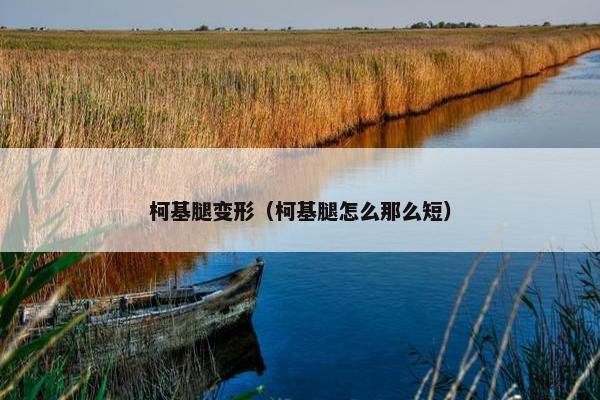 柯基腿变形（柯基腿怎么那么短）