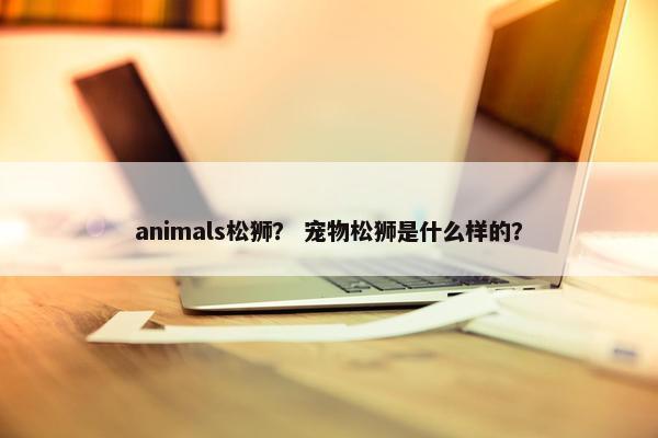 animals松狮？ 宠物松狮是什么样的？