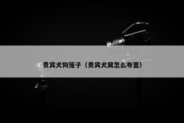 贵宾犬狗笼子（贵宾犬窝怎么布置）