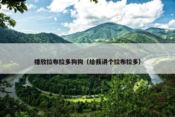 播放拉布拉多狗狗（给我讲个拉布拉多）