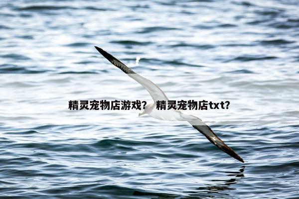 精灵宠物店游戏？ 精灵宠物店txt？