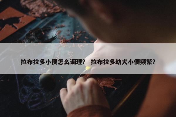 拉布拉多小便怎么调理？ 拉布拉多幼犬小便频繁？