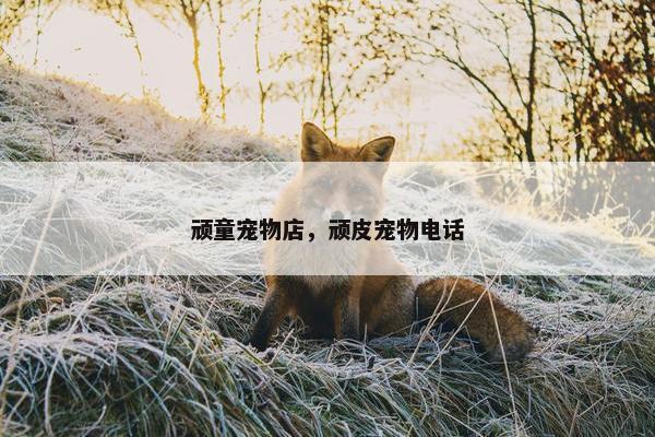 顽童宠物店，顽皮宠物电话