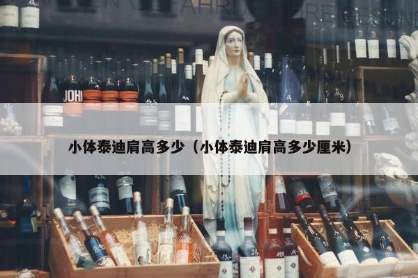 小体泰迪肩高多少（小体泰迪肩高多少厘米）