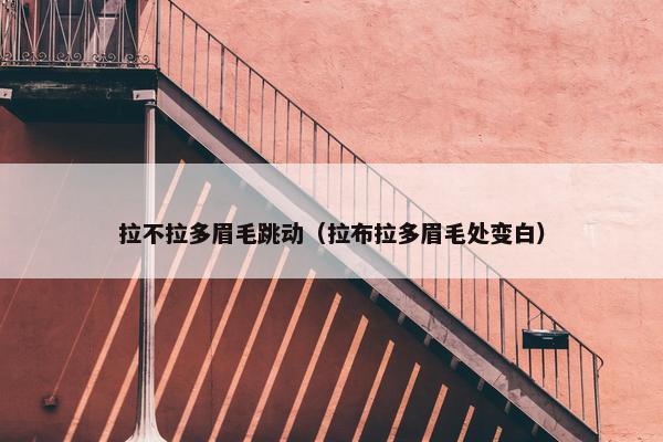 拉不拉多眉毛跳动（拉布拉多眉毛处变白）