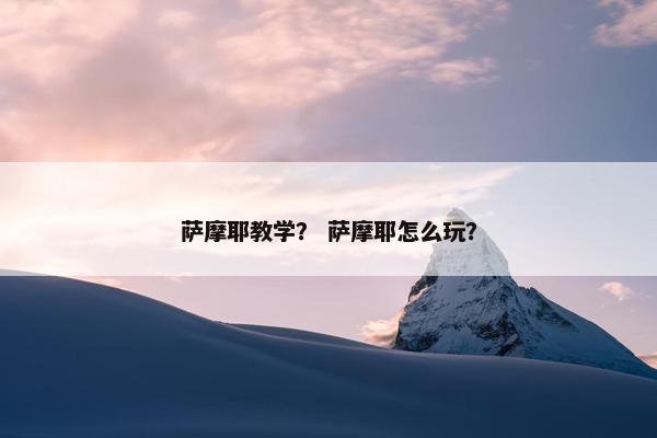 萨摩耶教学？ 萨摩耶怎么玩？