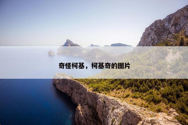奇怪柯基，柯基奇的图片