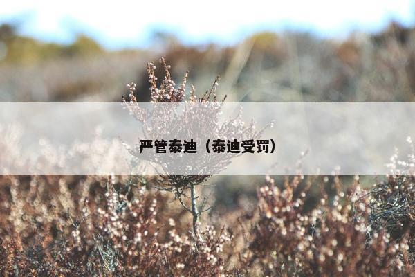 严管泰迪（泰迪受罚）