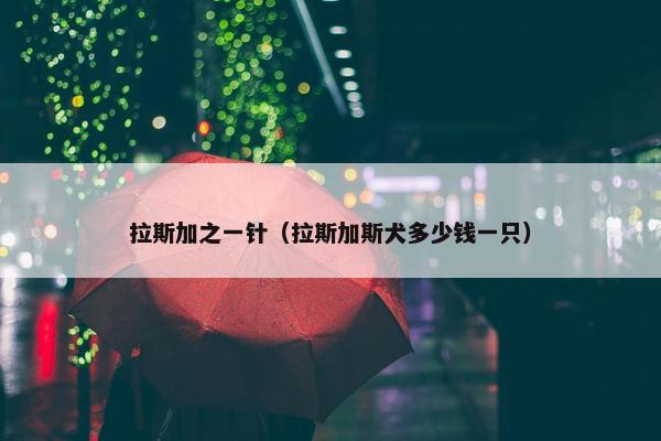拉斯加之一针（拉斯加斯犬多少钱一只）