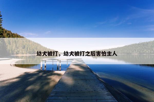 幼犬被打，幼犬被打之后害怕主人
