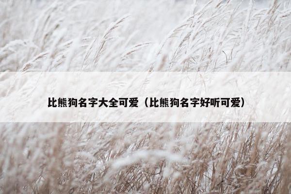 比熊狗名字大全可爱（比熊狗名字好听可爱）