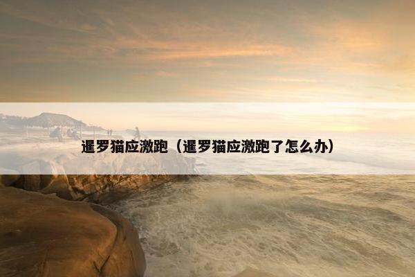 暹罗猫应激跑（暹罗猫应激跑了怎么办）