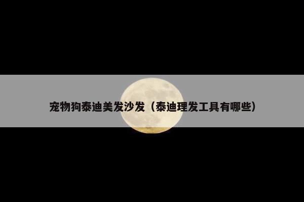 宠物狗泰迪美发沙发（泰迪理发工具有哪些）