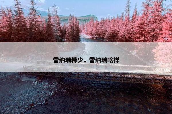 雪纳瑞稀少，雪纳瑞啥样