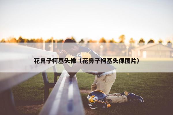 花鼻子柯基头像（花鼻子柯基头像图片）