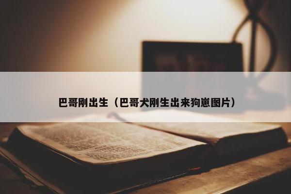 巴哥刚出生（巴哥犬刚生出来狗崽图片）