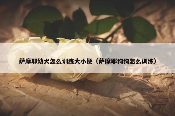 萨摩耶幼犬怎么训练大小便（萨摩耶狗狗怎么训练）