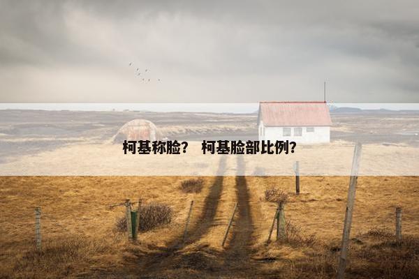 柯基称脸？ 柯基脸部比例？
