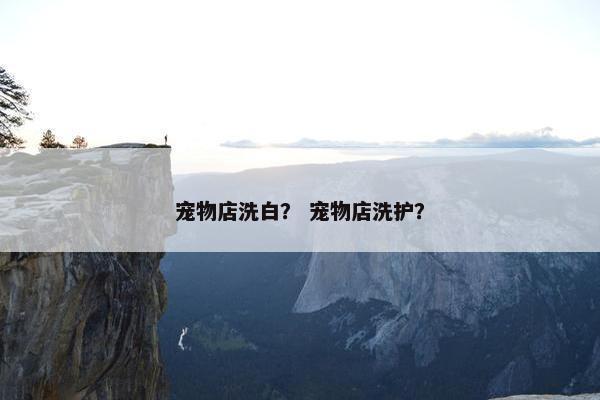 宠物店洗白？ 宠物店洗护？