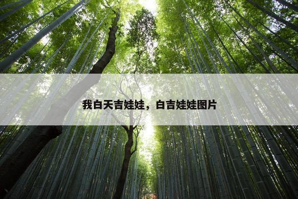 我白天吉娃娃，白吉娃娃图片