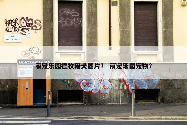 萌宠乐园德牧猎犬图片？ 萌宠乐园宠物？