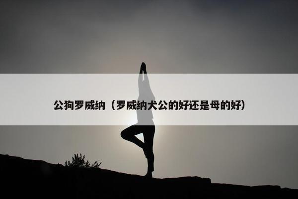 公狗罗威纳（罗威纳犬公的好还是母的好）