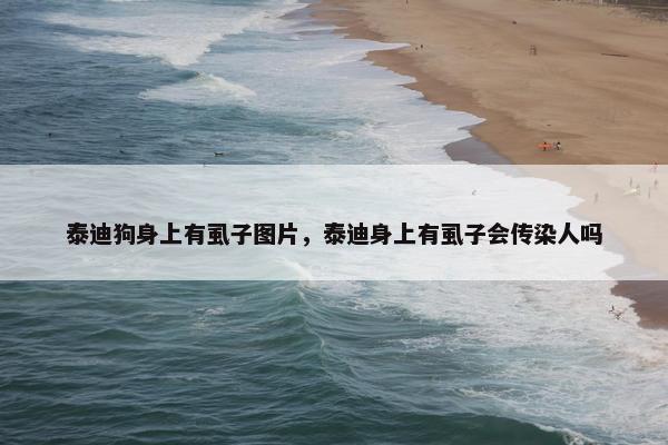 泰迪狗身上有虱子图片，泰迪身上有虱子会传染人吗