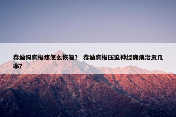 泰迪狗胸椎疼怎么恢复？ 泰迪胸椎压迫神经瘫痪治愈几率？