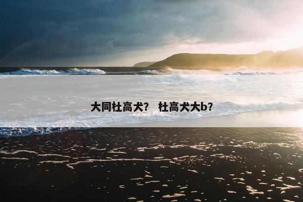 大同杜高犬？ 杜高犬大b？