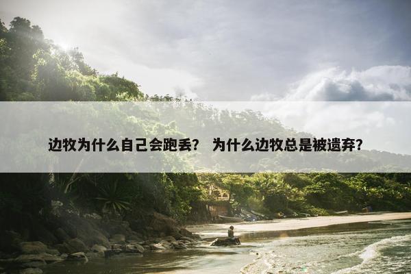 边牧为什么自己会跑丢？ 为什么边牧总是被遗弃？
