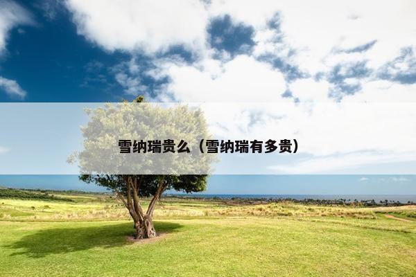 雪纳瑞贵么（雪纳瑞有多贵）