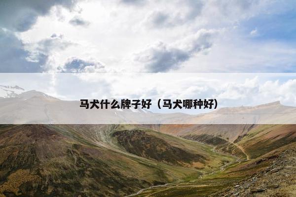 马犬什么牌子好（马犬哪种好）