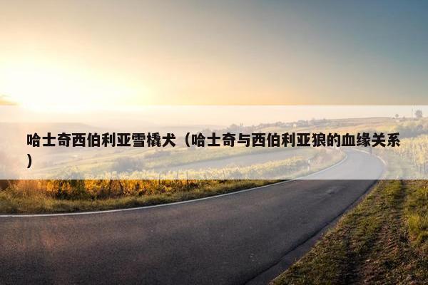 哈士奇西伯利亚雪橇犬（哈士奇与西伯利亚狼的血缘关系）