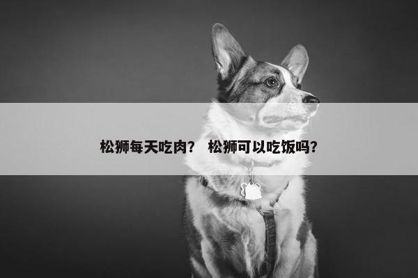 松狮每天吃肉？ 松狮可以吃饭吗？