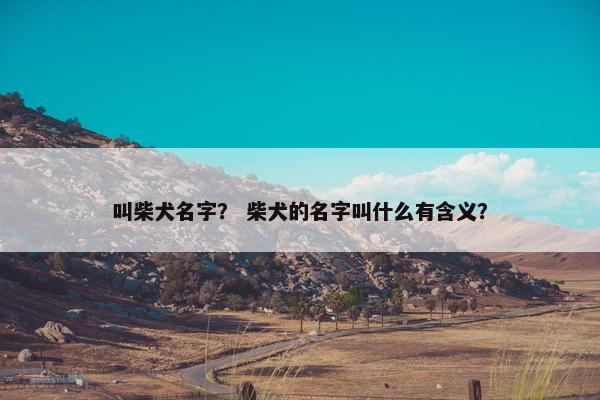 叫柴犬名字？ 柴犬的名字叫什么有含义？