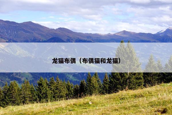 龙猫布偶（布偶猫和龙猫）