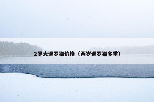 2岁大暹罗猫价格（两岁暹罗猫多重）