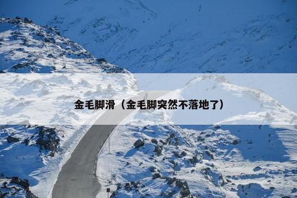 金毛脚滑（金毛脚突然不落地了）