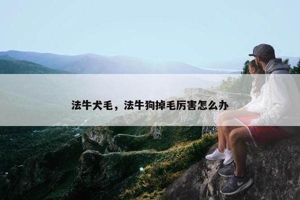 法牛犬毛，法牛狗掉毛厉害怎么办