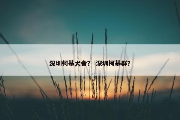 深圳柯基犬舍？ 深圳柯基群？