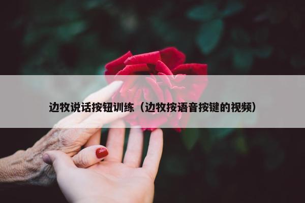 边牧说话按钮训练（边牧按语音按键的视频）