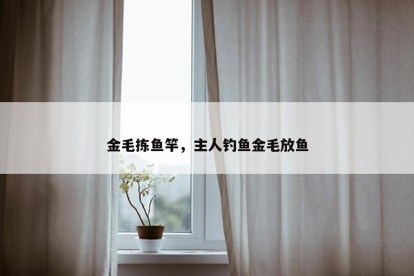 金毛拣鱼竿，主人钓鱼金毛放鱼